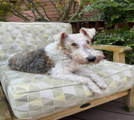rescue_website009013.jpg